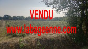 Vente terrain ORTAFFA - photo