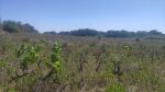 Vente terrain BAGES PARCELLE DE TERRE AGRICOLE - Photo miniature 3