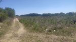 Vente terrain BAGES PARCELLE DE TERRE AGRICOLE - Photo miniature 2