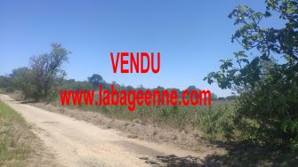 Vente terrain BAGES PARCELLE DE TERRE AGRICOLE - photo