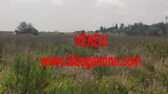 Vente terrain BAGES PARCELLE DE TERRE AGRICOLE - photo
