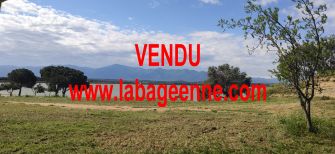 Vente maison VILLENEUVE DE LA RAHO - photo