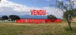 Vente maison VILLENEUVE DE LA RAHO - Photo miniature 1