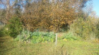 Vente terrain BAGES - photo