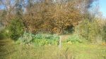 Vente terrain BAGES - Photo miniature 1
